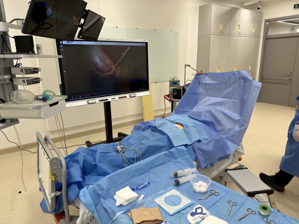 zde testuju obrázek